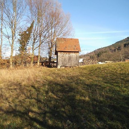 Ferienwohnung Kirchblick Langenbrand 外观 照片