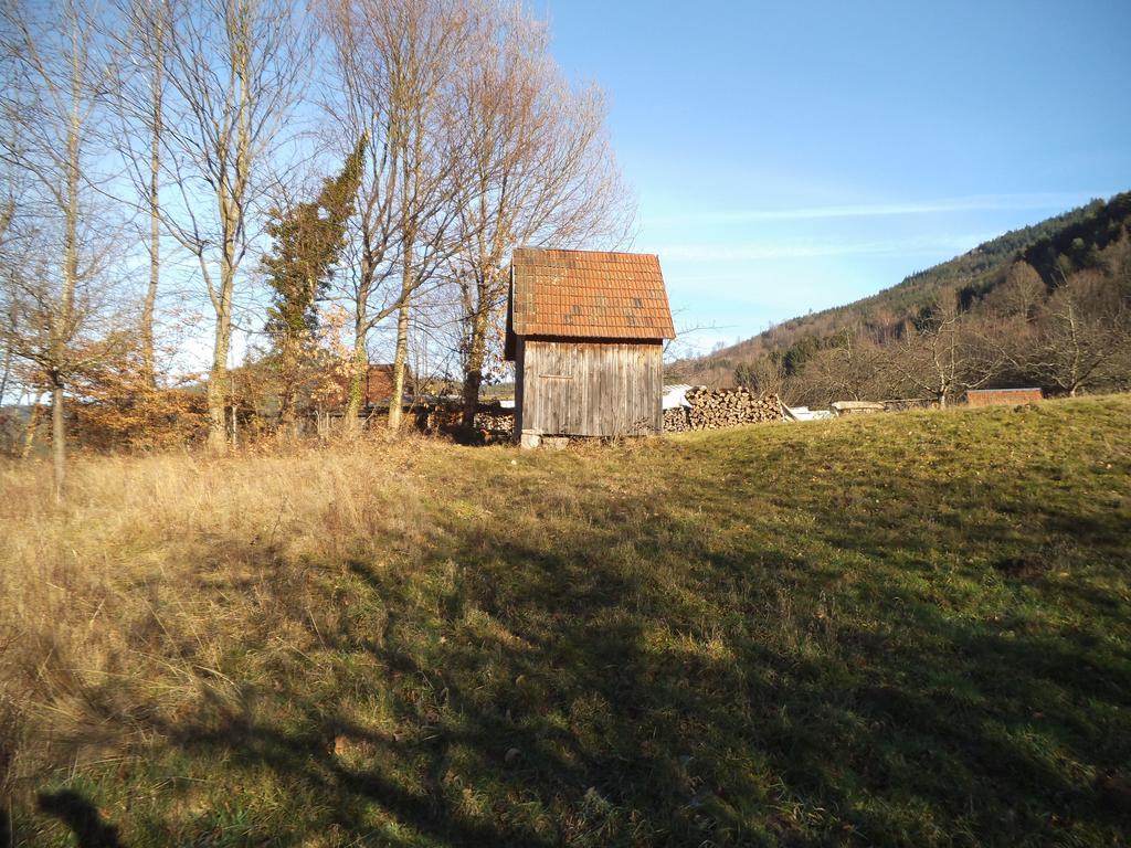 Ferienwohnung Kirchblick Langenbrand 外观 照片